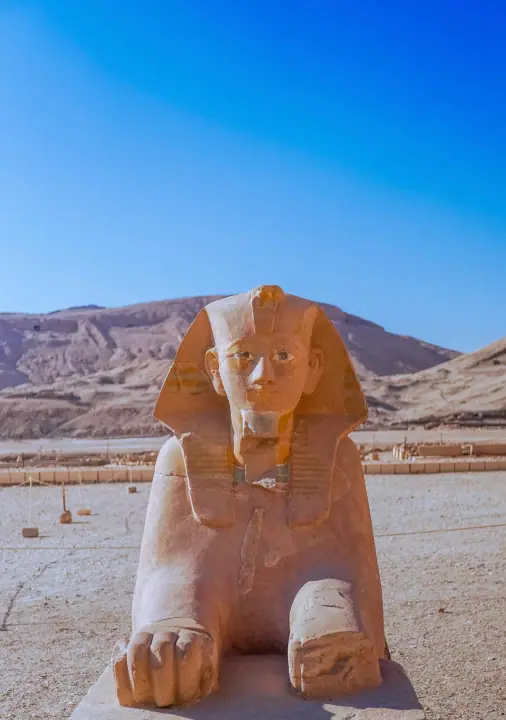 "Tutankhamun, there's money in skeletons", catalog 4, photo feea23c3-a8e6-49fd-8299-b38cb4768937