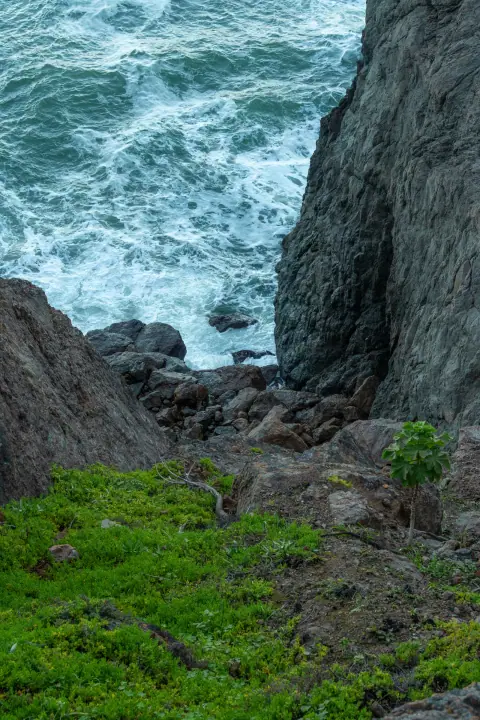 Honor at Lands End, catalog 12, photo dad66466-0fcc-4ee6-b980-bb30c2924a05