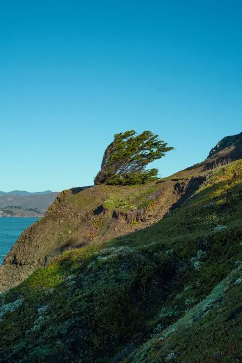 Honor at Lands End, catalog 12, photo edfc4936-d29b-4aed-9f22-3e020a470bd6