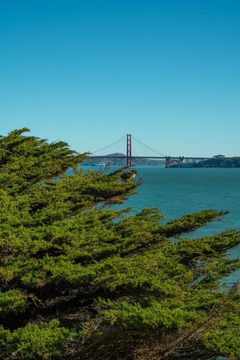 Honor at Lands End, catalog 12, photo dac6f3f8-2b4e-41ab-bbff-3593c6c11186