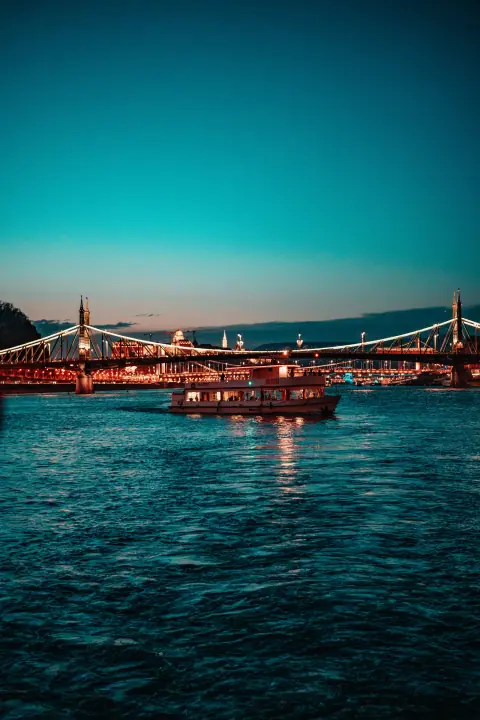 Cogs on The Danube, catalog 14, photo e70f0a88-50ab-46da-b7f2-fa7cb0ff40db