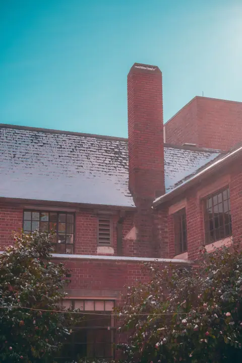 Carolina's Snowlight, catalog 10, photo 5b53d974-d478-4cc5-9c60-0e56b52f1d2d