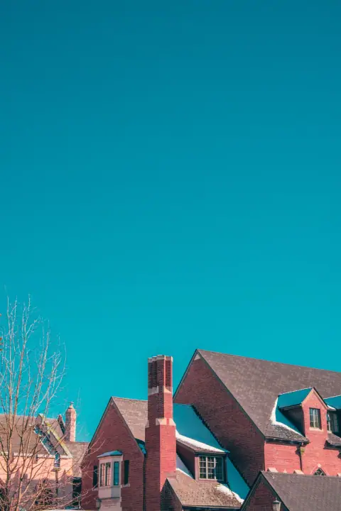 Carolina's Snowlight, catalog 10, photo b017d044-1c7c-4133-98eb-86d13f5bac5e